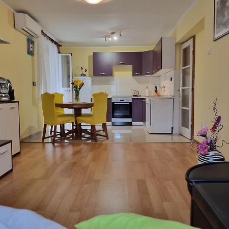 Apartment Sanja Pazin Exterior photo