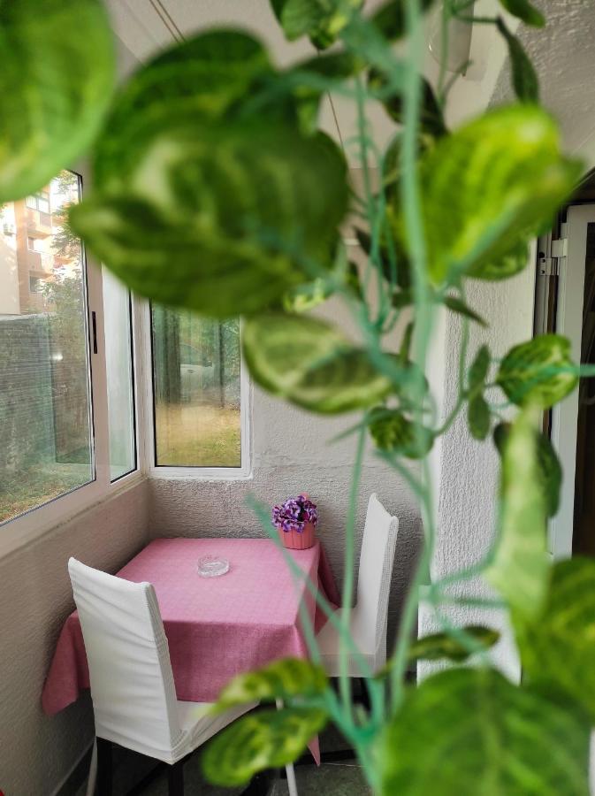 Apartment Sanja Pazin Exterior photo